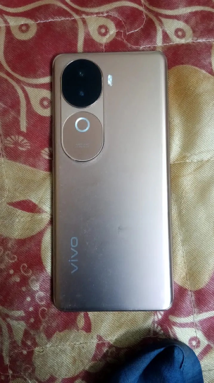 vivo V40e