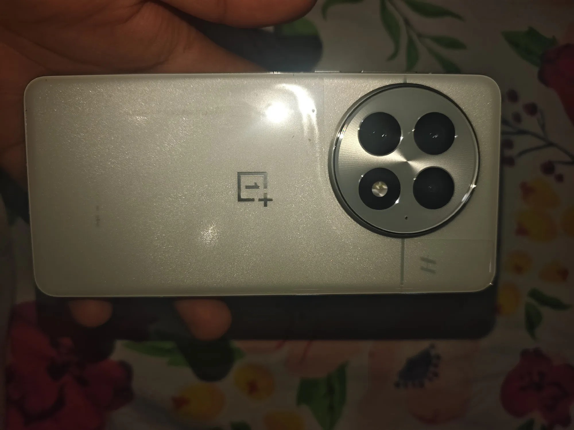 OnePlus 13