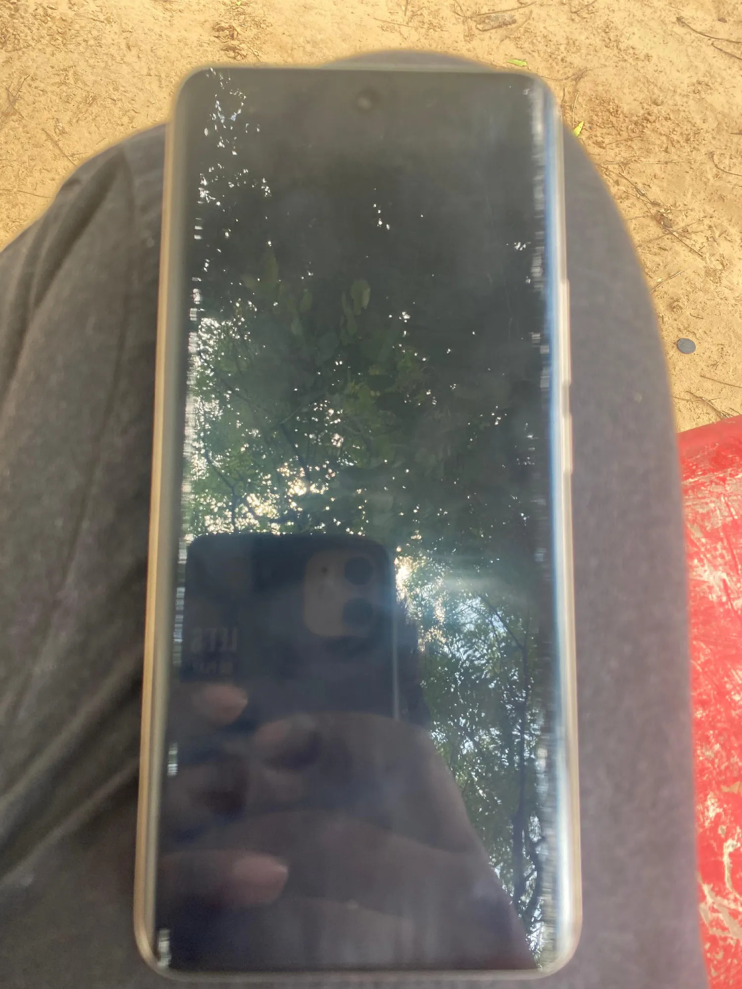 Realme 13 Pro+