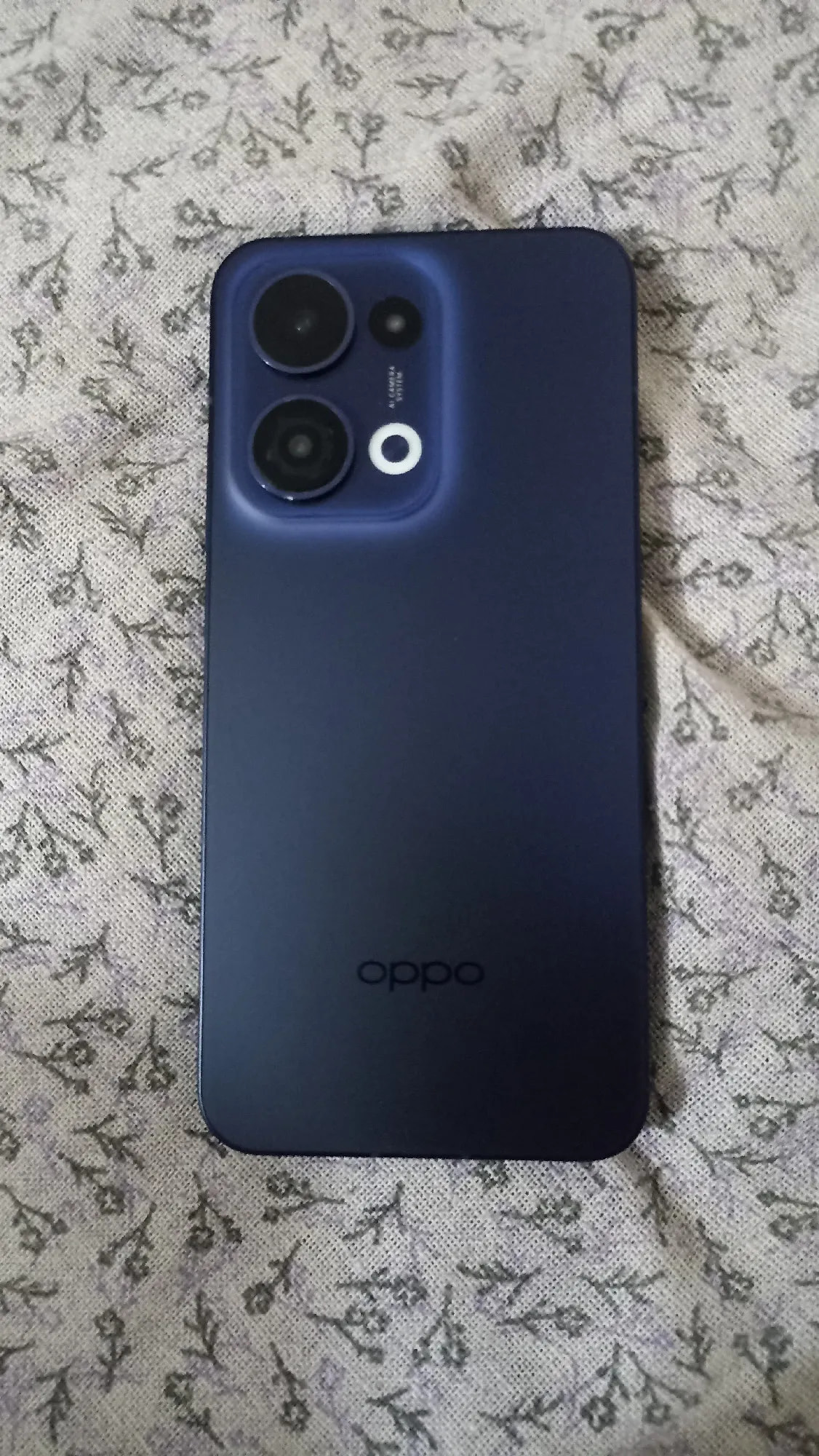 Oppo Reno13