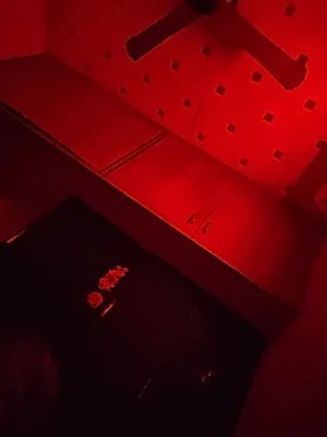 Xiaomi 11 Lite 5G NE