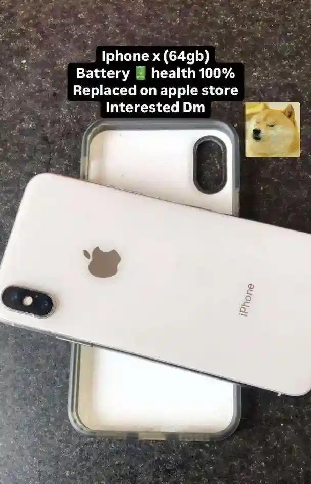Apple iPhone X