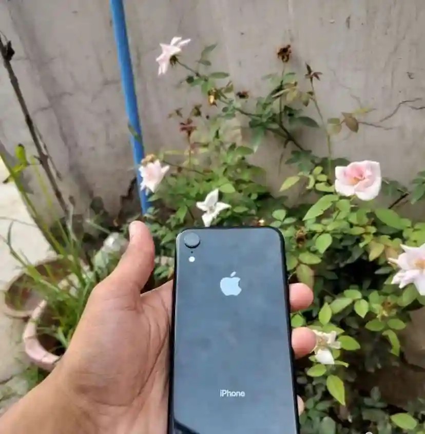 Apple iPhone XR