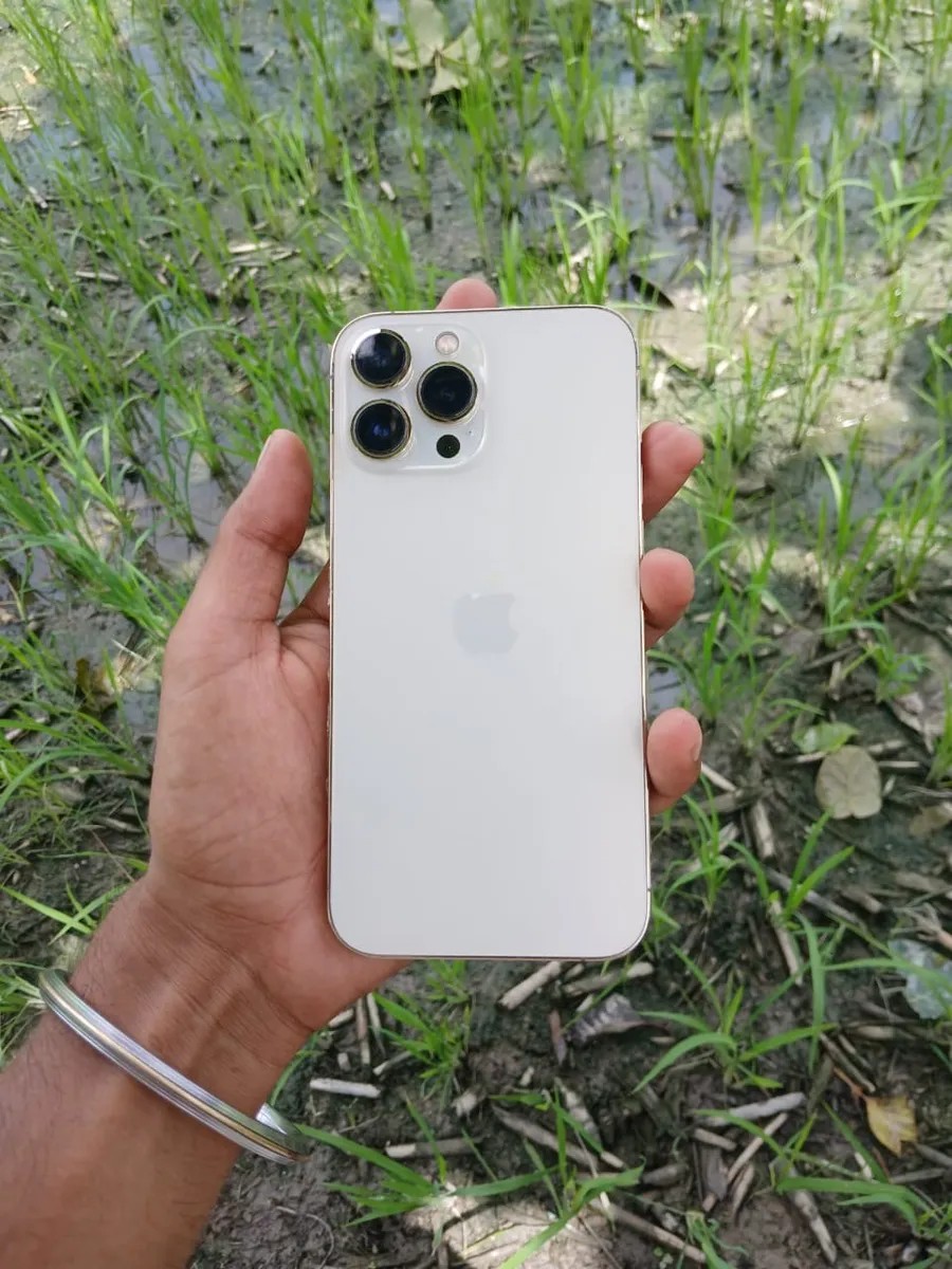 Apple iPhone 13 Pro Max