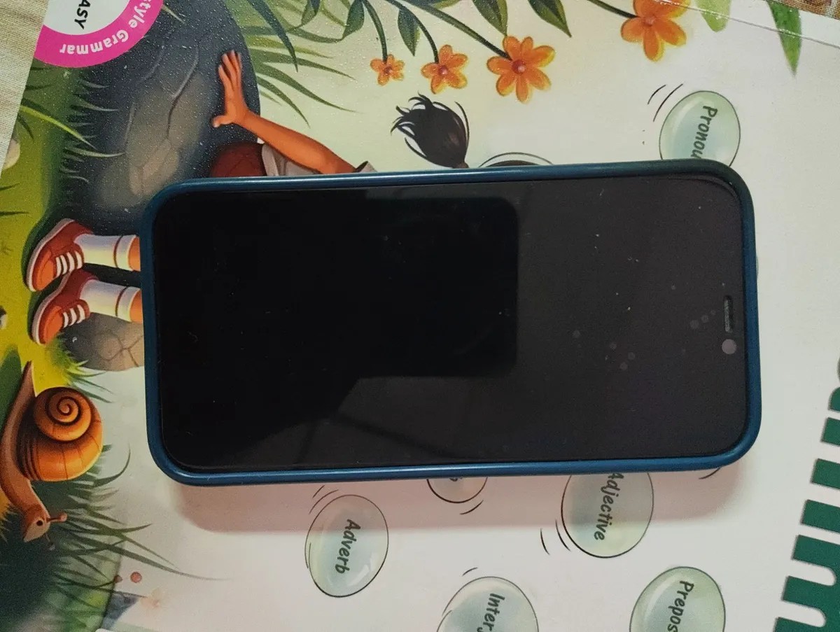 Apple iPhone 12 mini