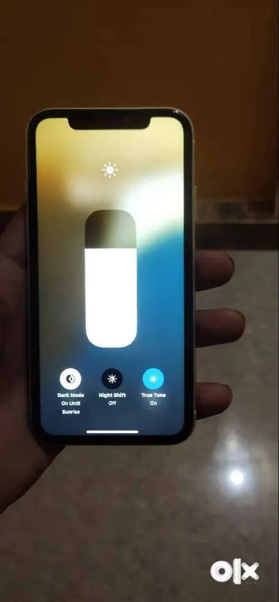 Apple iPhone 11