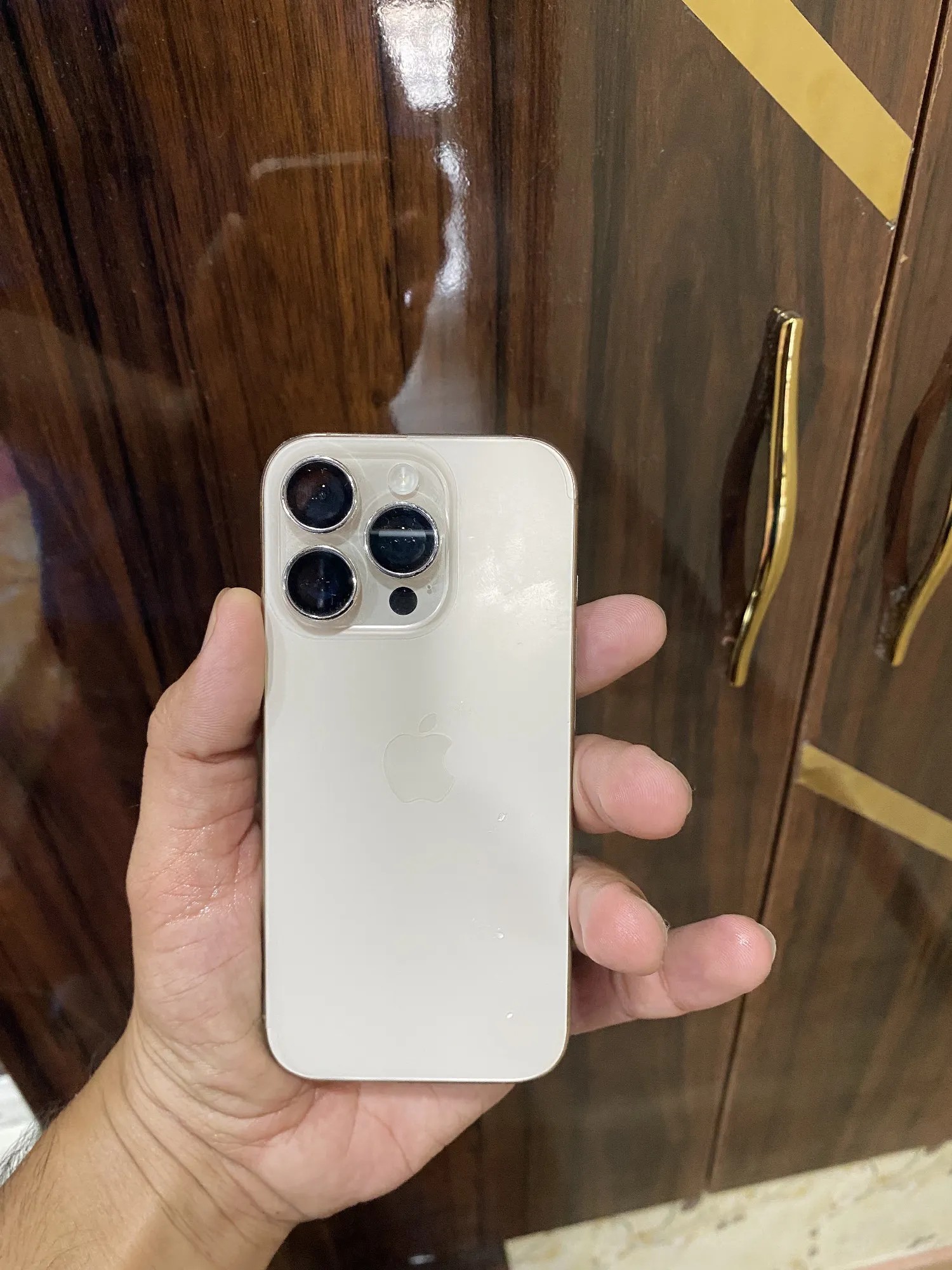 Apple iPhone 16 Pro