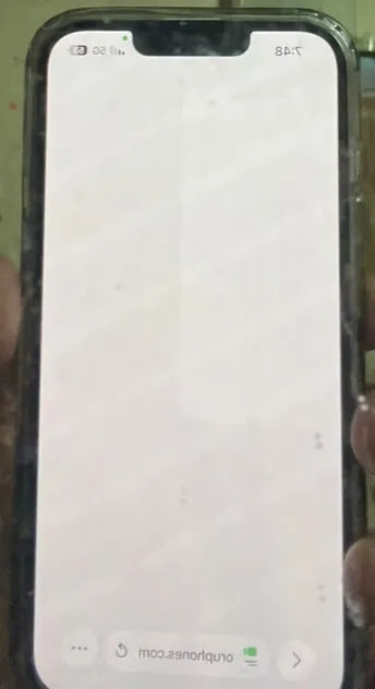 Apple iPhone 13